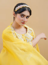 Aditi Roa Sheeshpatii
